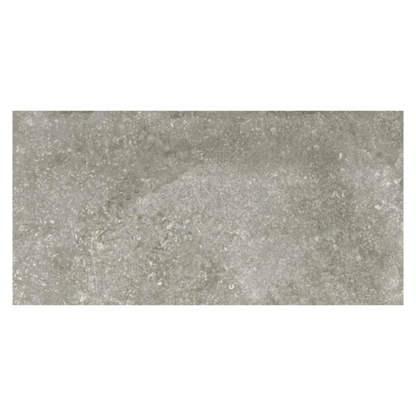 40x80 Tegel Kingstone Platinum