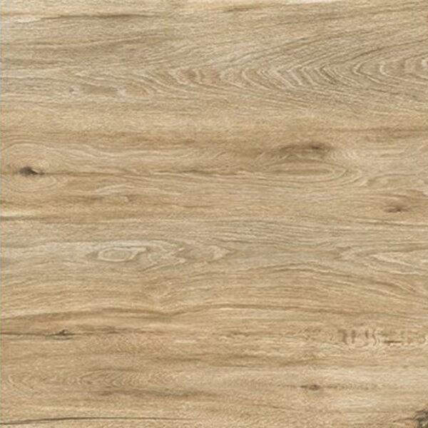 Novabell Eiche Scott Houtlook